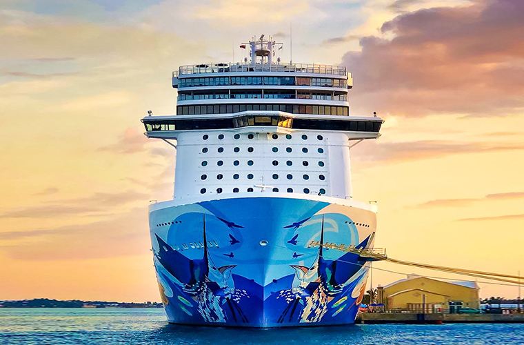 ŵΨ Norwegian Cruise Line ݺ Escape