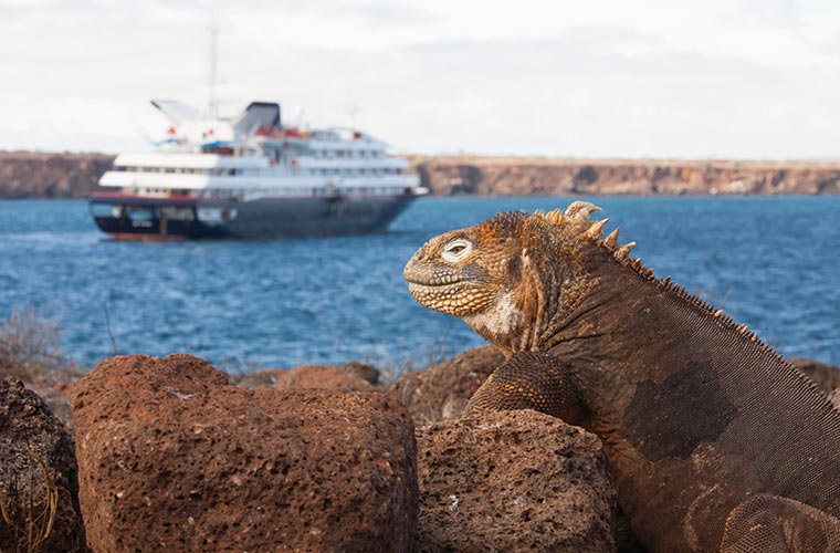  Silversea Luxury Cruises  Silver Galapagos